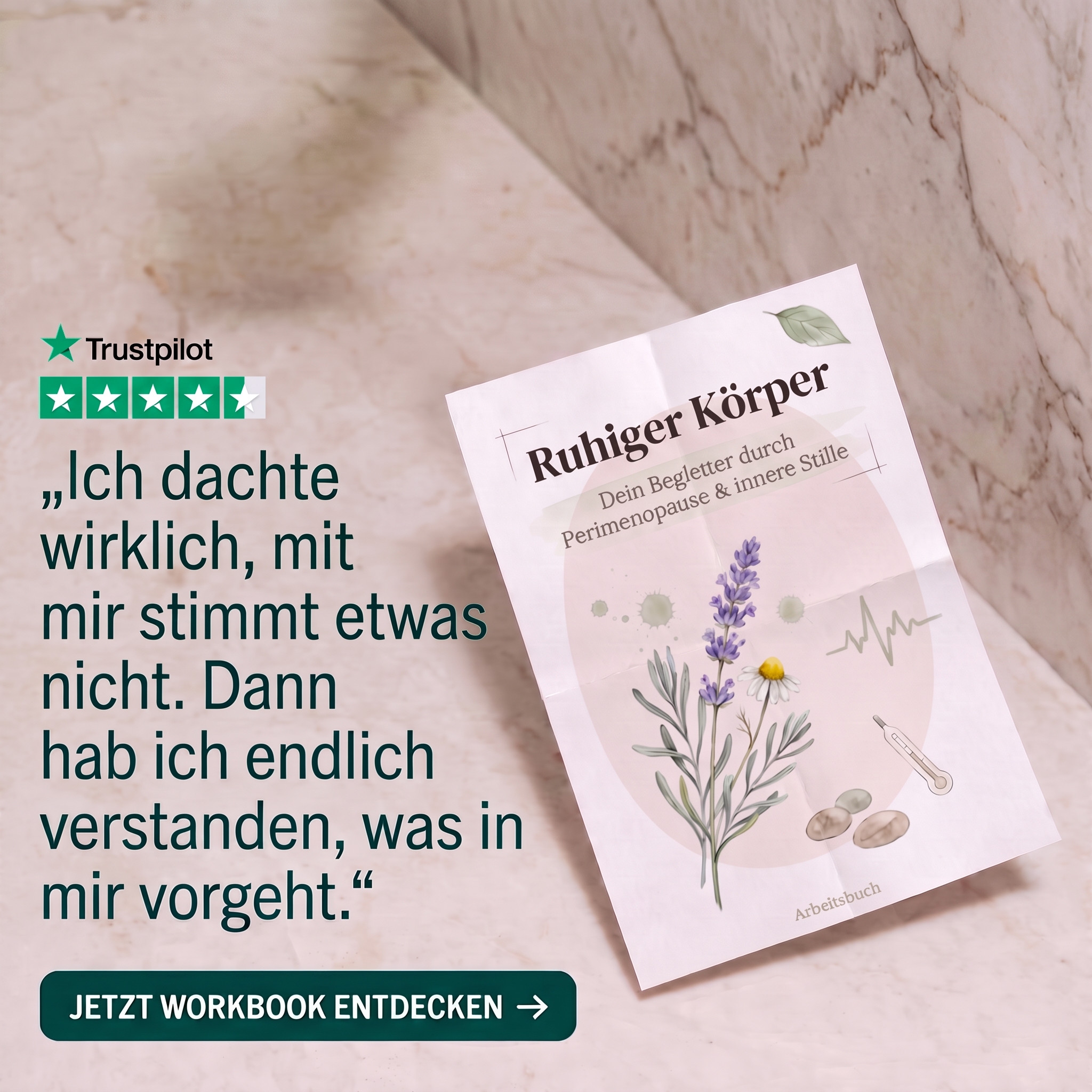 Selbsttest-Seite Vorschau